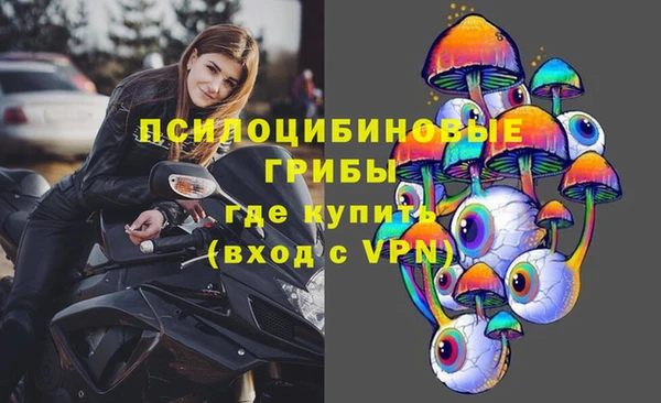 прущая мука Абаза
